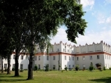 Collegium Gostomianum
