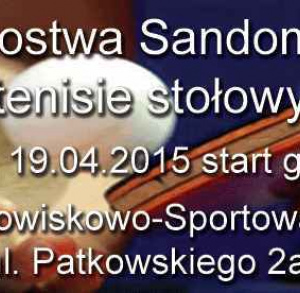 Turniej Tenisa Stołowego