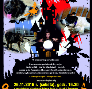 Wydarzenie charytatywne pt. "Czary z Przytulnymi"