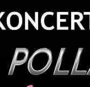 Koncert Mr Pollack