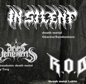 Koncert zespołu In Silent
