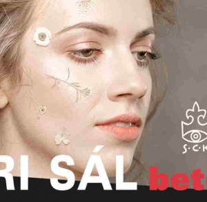 Koncert Kari Sál