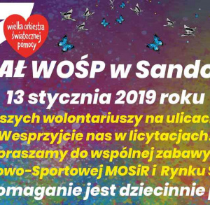 27. Finał WOŚP w Sandomierzu