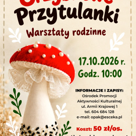 Grzybowe Przytulanki. Warsztaty rodzinne.